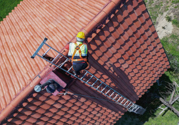 Best Roof Maintenance and Cleaning  in Leesburg, FL