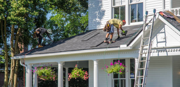 Best Rubber Roofing (EPDM, TPO)  in Leesburg, FL